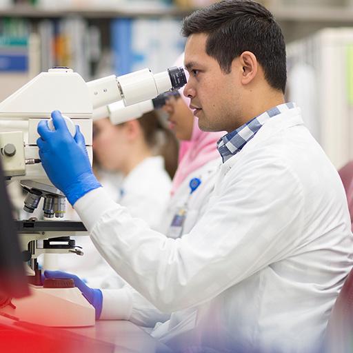 Learn More about Mayo Clinic's Medical Laboratory Science (MLS) Program 