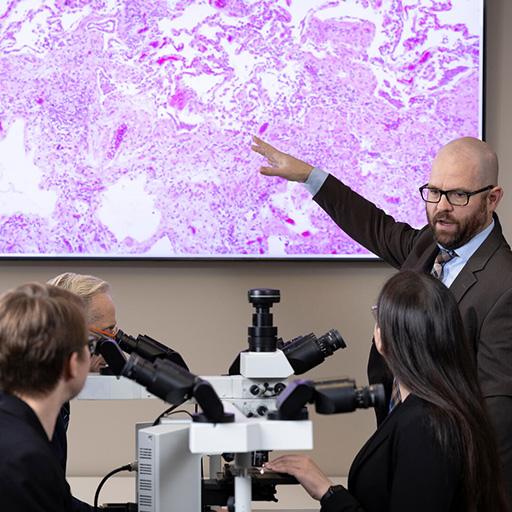 A doctor is pointing to a screen on the wall during a presentation in front of four people seated.