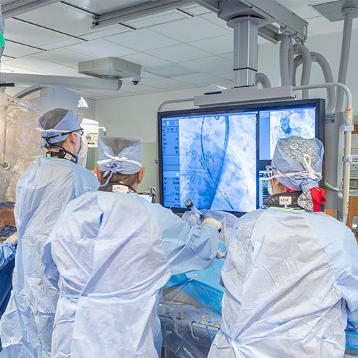 Mayo Clinic fellows in a surgical procedure