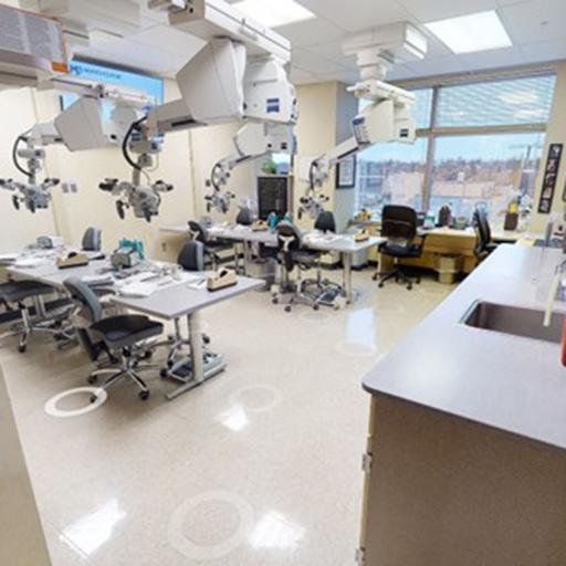 Microvascular Lab, Stabile Building