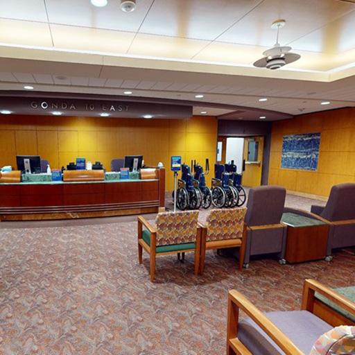 Mayo Gonda 10 Chemo Suite