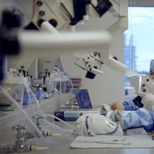 Neurologic Surgery Residency in Rochester, Minnesota