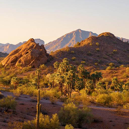 Video: Living and learning in Arizona