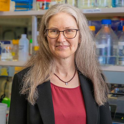 Evette Radisky, Ph.D.