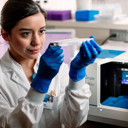 Mayo Clinic Ph.D. Program student examining specimens in a research laboratory