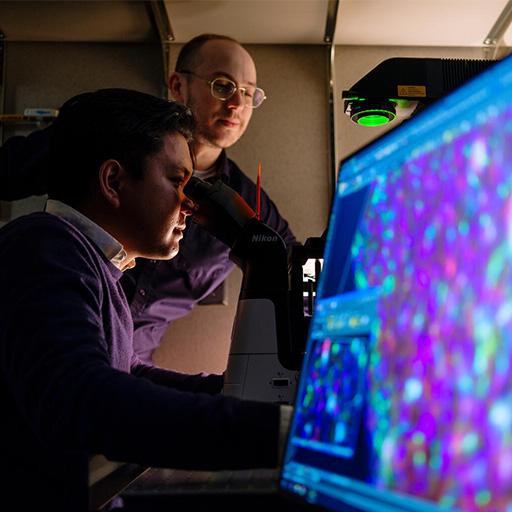 Video: Career Development Internships