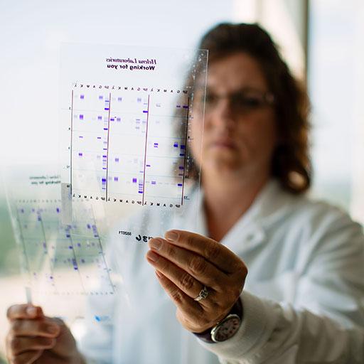 Researcher analyzing DNA in the Pharmacogenomics Repository lab