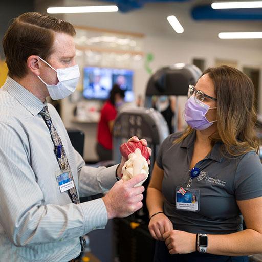 Two physical therapists looking at a model of a joint
