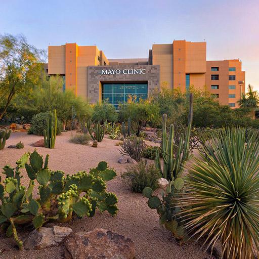 Video: The Arizona Experience