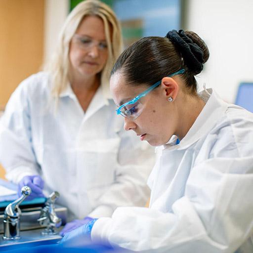 Bone and Soft Tissue Pathology fellow and faculty member working together in the lab at Mayo Clinic in Rochester, Minnesota.