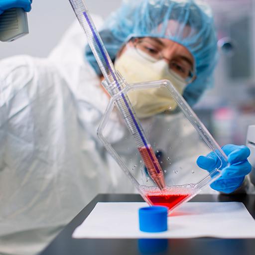 Cellular therapy fellow doing lab work