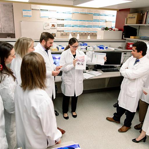 Video: Program Overview