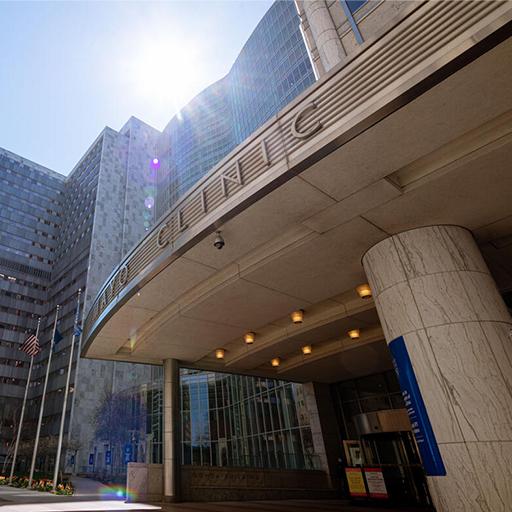 Video: A day in the life of Allison