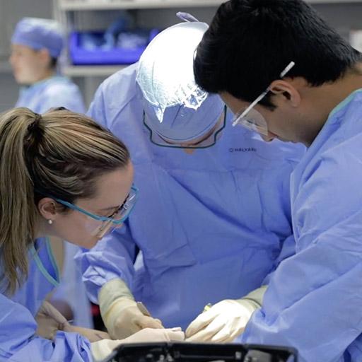 Hand Surgery Fellowship