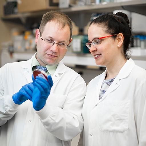 Infectious diseases consultant and fellow