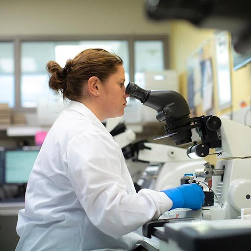 Multidisciplinary Breast Pathology fellow working in the lab at Mayo Clinic in Rochester, Minnesota.