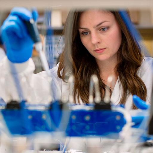 Scientist looking at test tubes