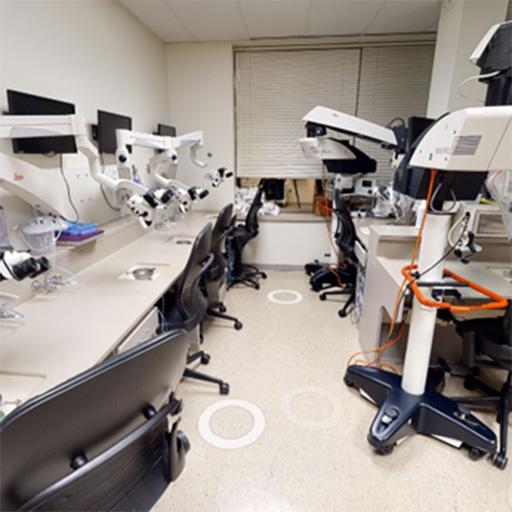 Stabile Building, Skull Base/T-Bone Lab