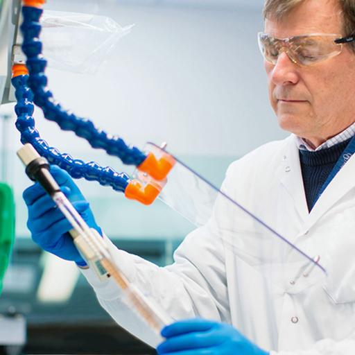 Neuropathologist at work