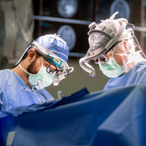 Neurosurgical Oncology fellows in surgery.