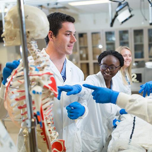 Students in the Anatomy Lab at Mayo Clinic