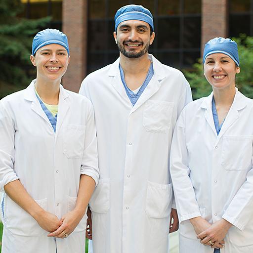 3 pain medicine fellows