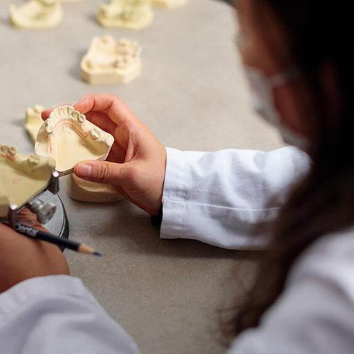 Dental specialties faculty working on a dental imprint mold
