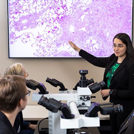 Five fellows looking at teacher and screen showing microscopic images