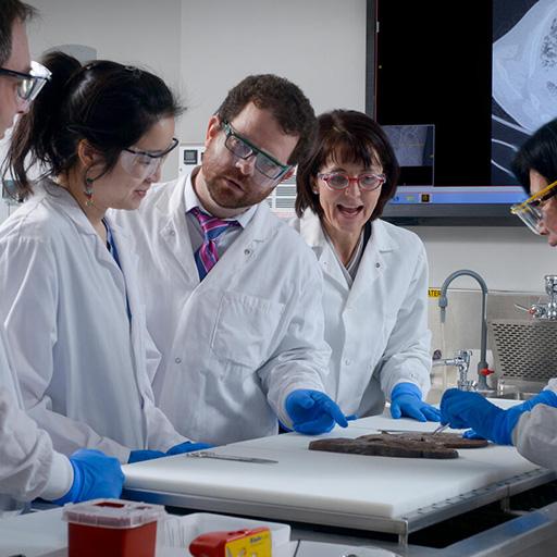 Pulmonary pathology faculty and fellows examine specimens in the lab at Mayo Clinic