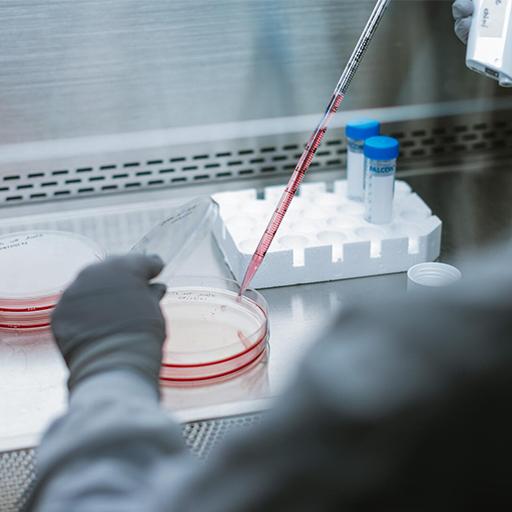 Video: Fellow Research