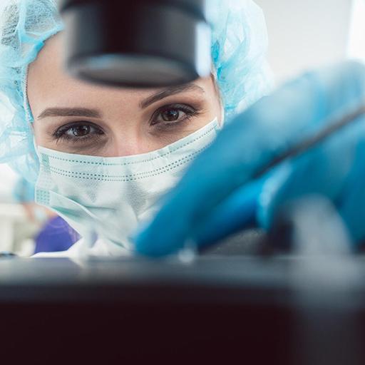 Video: Embryology at Mayo