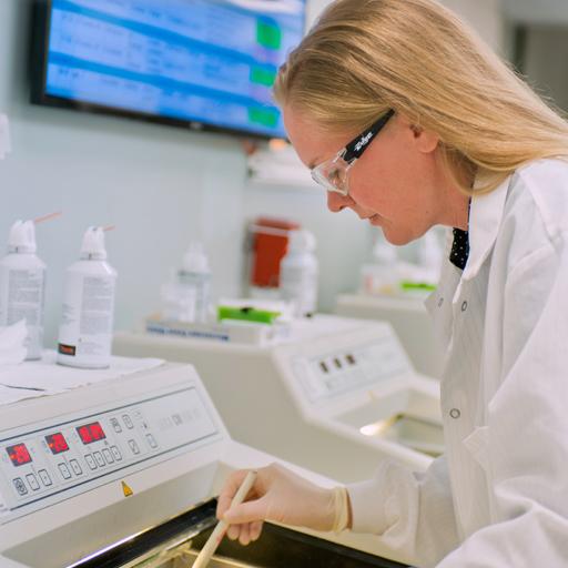 Surgical pathologist at work