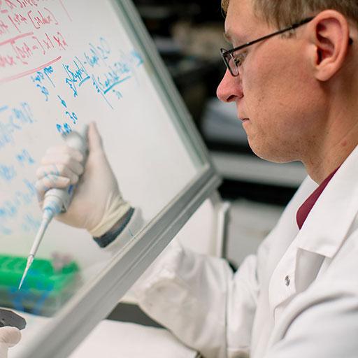 Mayo Clinic faculty working in the Transplant Immunology Lab