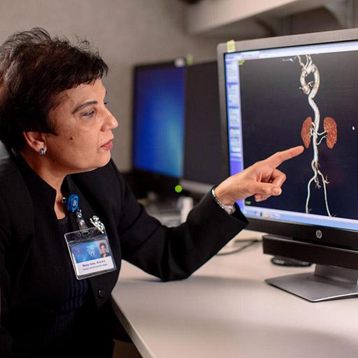 Vascular Surgery Advanced Aortic fellow and faculty member discussing a case at Mayo Clinic in Rochester, Minnesota.