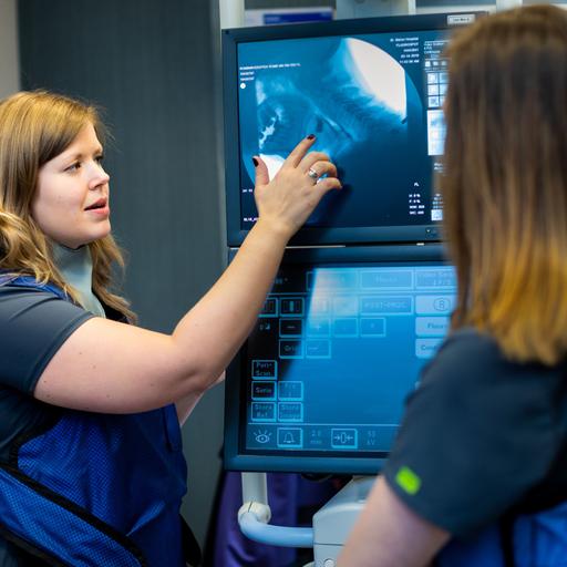 Program overview: Occupational Therapy Dysphagia Fellowship