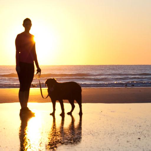 A woman walks on the beach with her doggo.