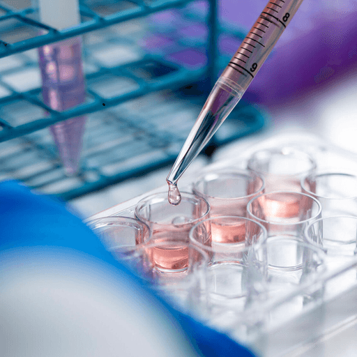 Image of vials being filled