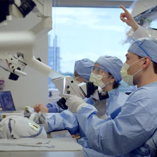 Neurologic Surgery Residency in Rochester, Minnesota