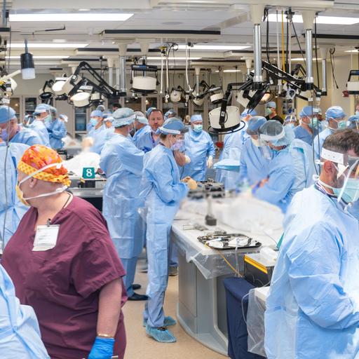 Clinical Anatomy Laboratory During CME Course