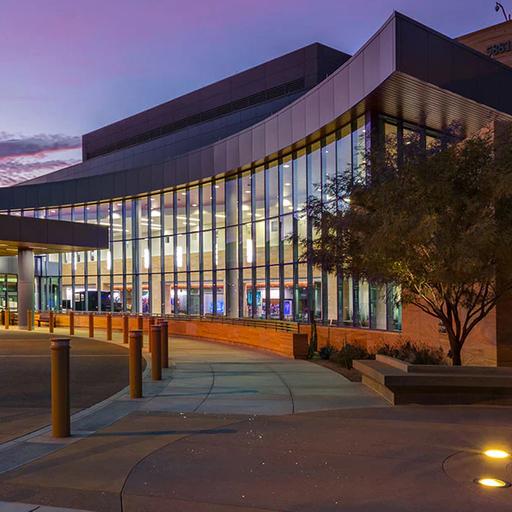 Mayo Clinic at Arizona