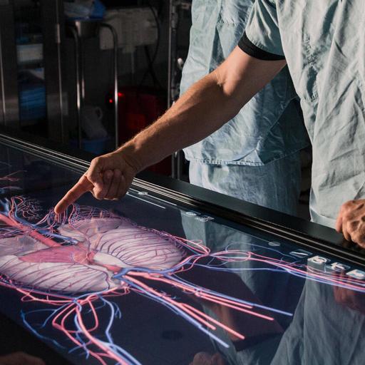 Staff reviewing animation of heart, blood vessels, and arteries on large monitor.