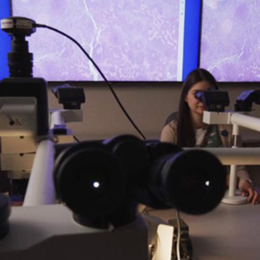 Video: Residency Overview