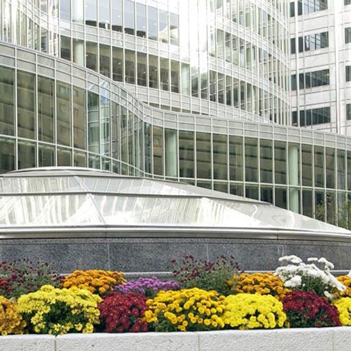 Mayo Clinic Internal Medicine Residents' Message to Applicants