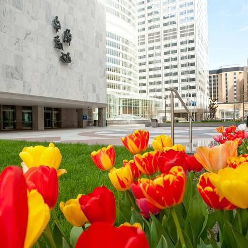 Annenberg Plaza and Mayo Building with Tulips in Foreground