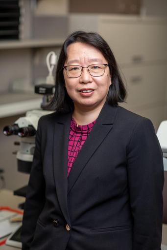 Yajue Huang, M.D., Ph.D.