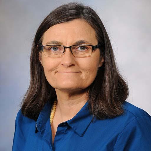 Mary Schilpp, M.S., L.M.H.C, L.P.C, L.P.C.C.