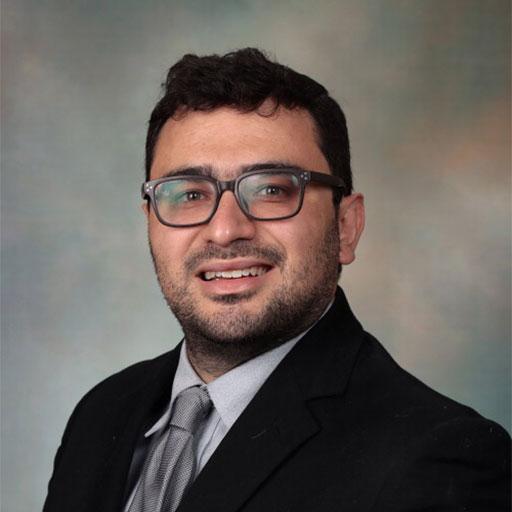 Henrique Borges da Silva, Ph.D.