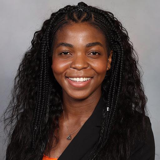 Tomini Fashina, M.B., Ch.B., M.P.H.