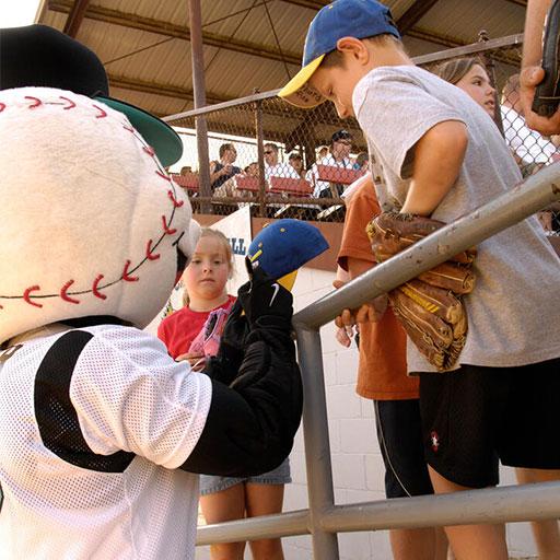 Summer outdoor options