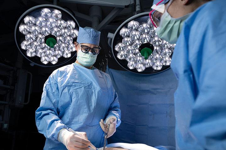Journey begins for Florida residents at Mayo Clinic School of Graduate Medical Education